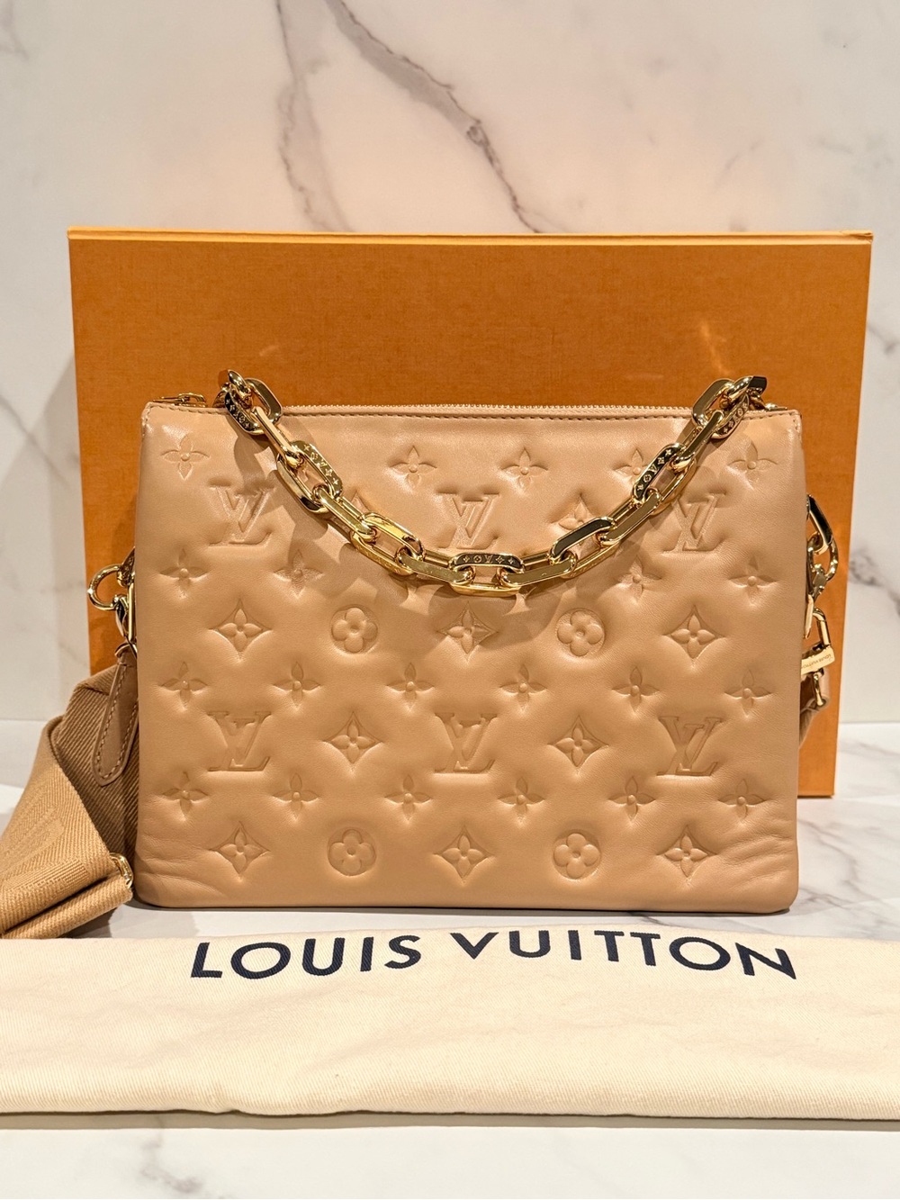 Louis Vuitton Coussin Pm
